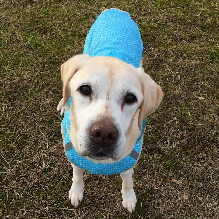 020c01e1 2b9e 4256 b6f3 b2069a591e24 1554727651154