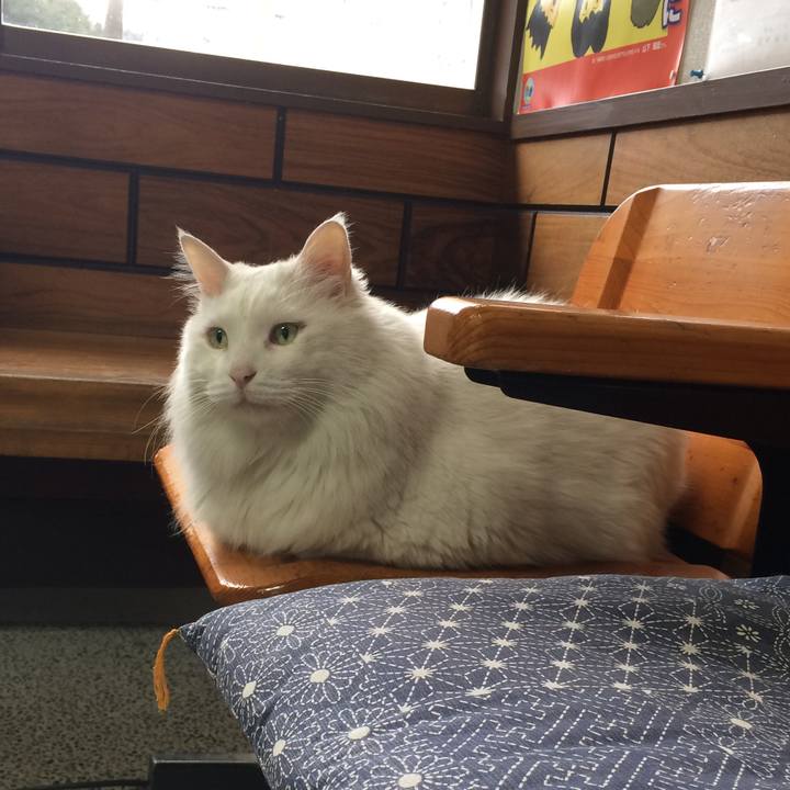 020c03f5 e322 41a3 a94e f54f529fc930 1514241004018