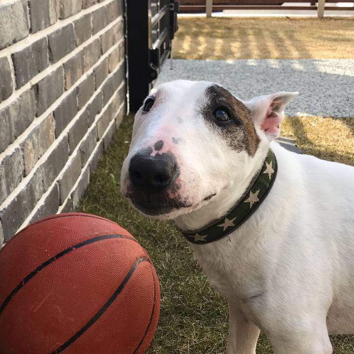 020c24ba 1f54 4d76 a15c 181b3ca8bc56 1584777129039