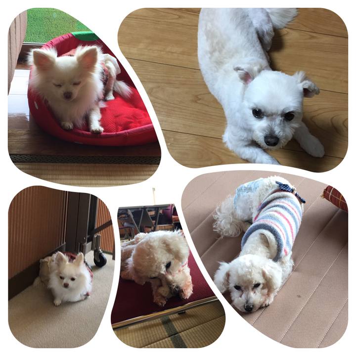 020c3a39 7661 435f 87bb 2e09b7cf741a 1550475568947