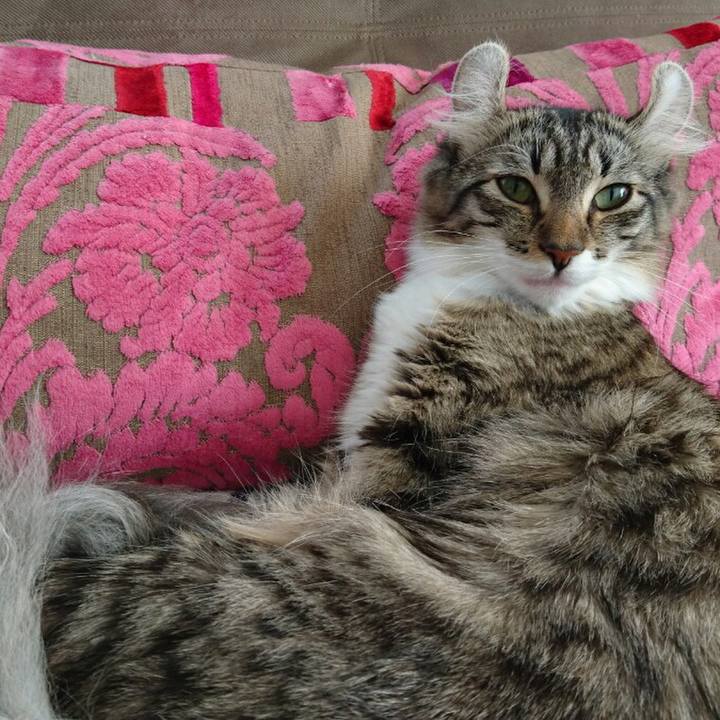 020c7355 b44d 4372 b621 fd615c046629 1534408835588