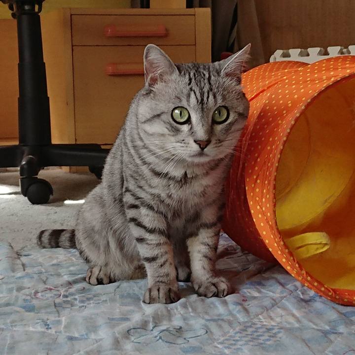 020c7b0d 88fb 48fe 909e a794feddb749 1568723582082