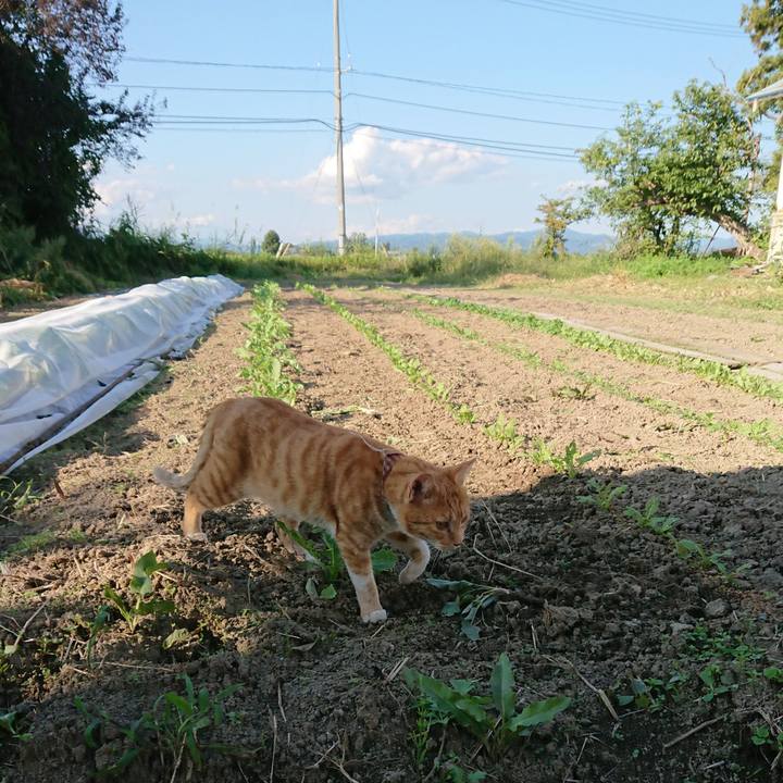 020cbbe7 8cd6 4d37 bf98 c6751d67cfd4 1568536223642