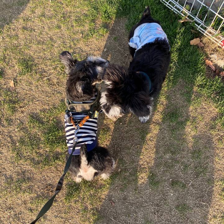 020cefc1 acaf 4f5d ba9f 01eb24cd4728 1580651437584