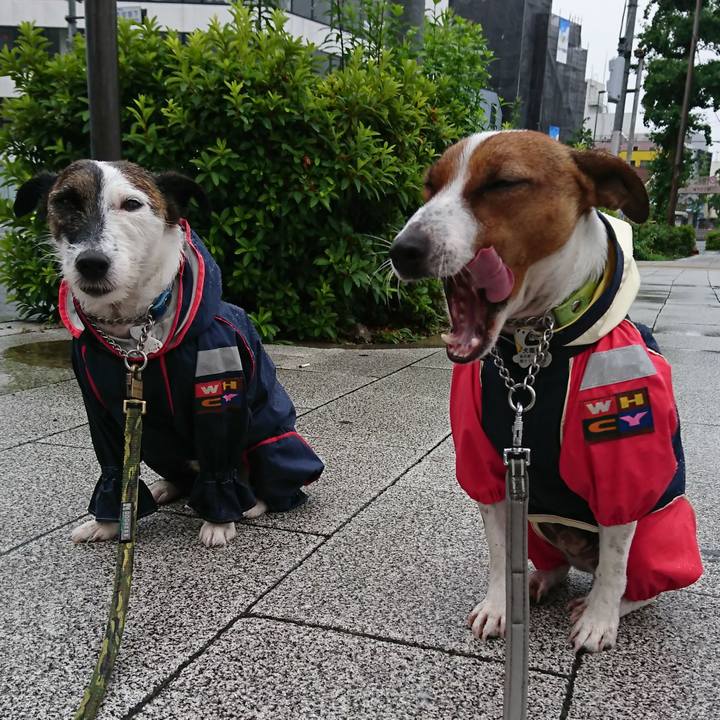 020d15ac fbf7 412f a69d ae11bb93ba47 1560548071105