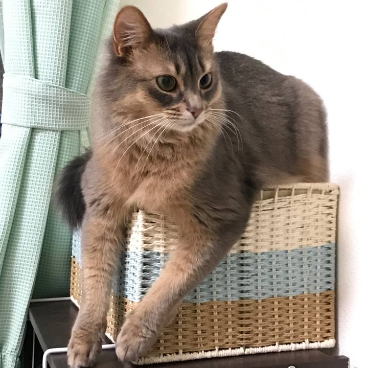 020d24d5 39ef 489a b9a0 51766f061dc7 1516333541318