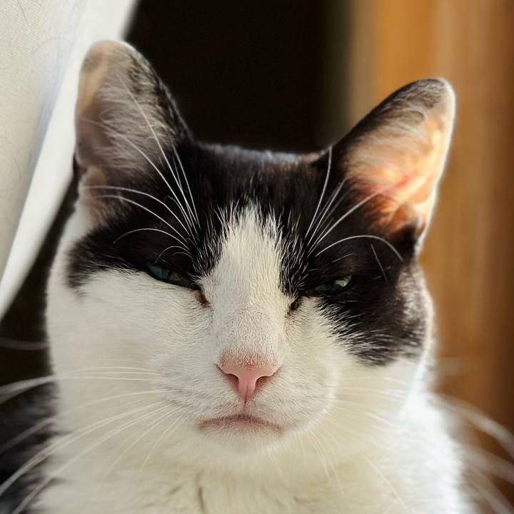 020d354b f64c 4953 b875 ff8eaa4e9112 1691454099641