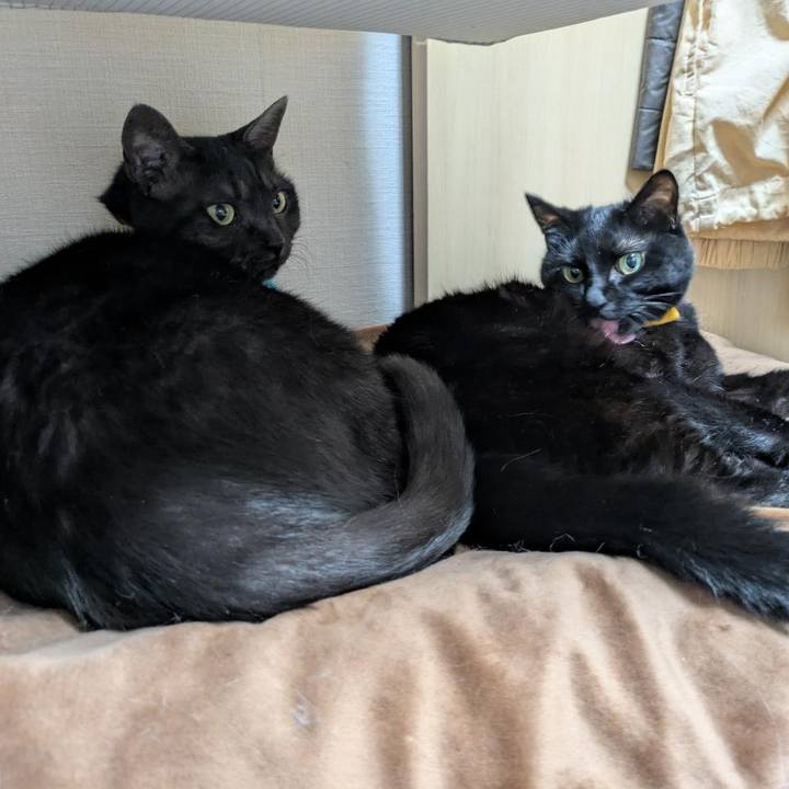 020d58bf e375 4611 b31e 833f630cfe1c 1760006983118