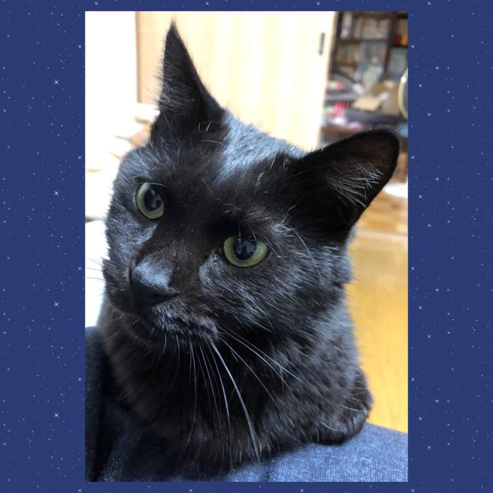 020d6b26 48aa 410d b418 903a91eacac7 1601804100266