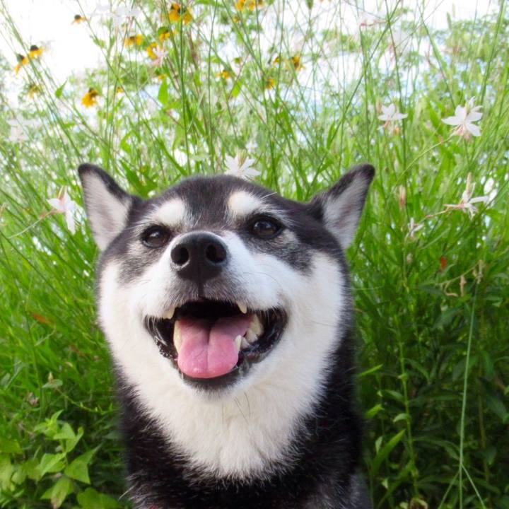 020d98ee 61a5 494c 82b2 63bfea3ef70a 1565311258206