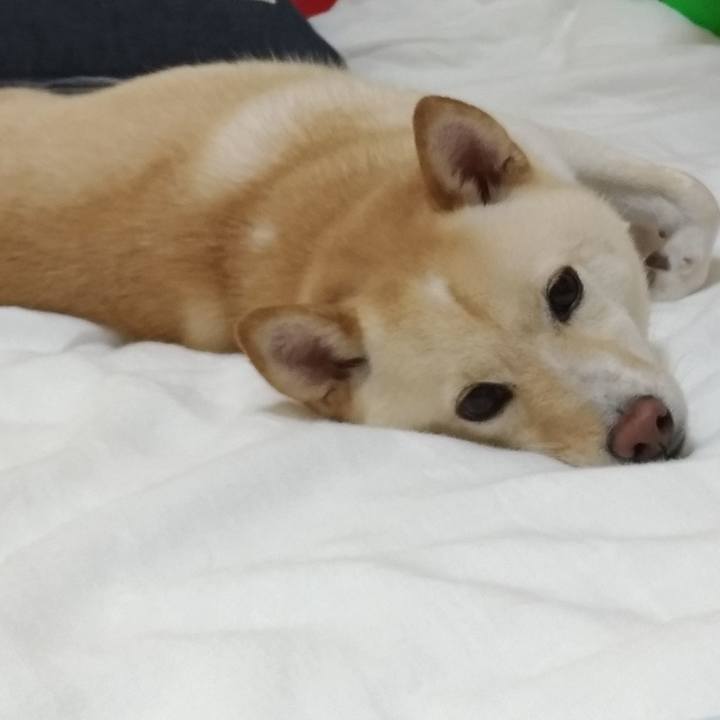 020d9a7e 0416 490c 88c3 9a50b36ec291 1568720543434