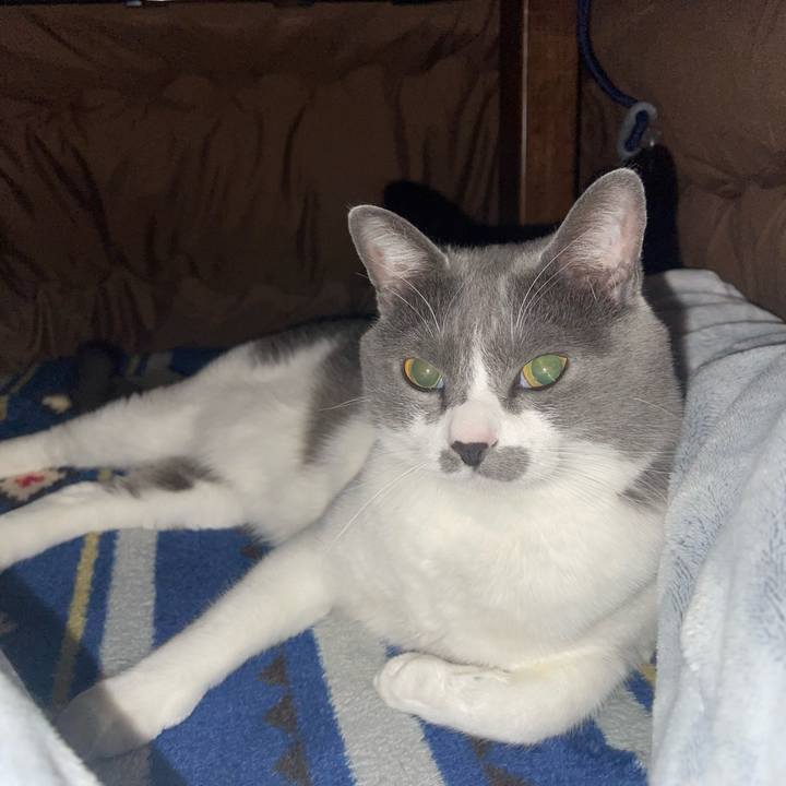 020dd1aa e28a 44e6 8d47 ec091cb6f31f 1675249121540