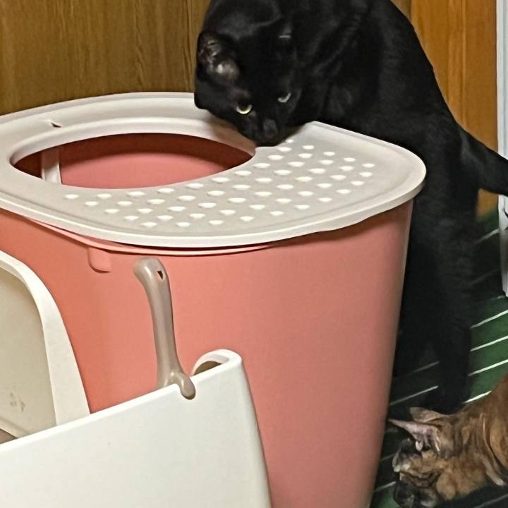 020dd860 4660 4463 ba07 e7da33242540 1663374194495