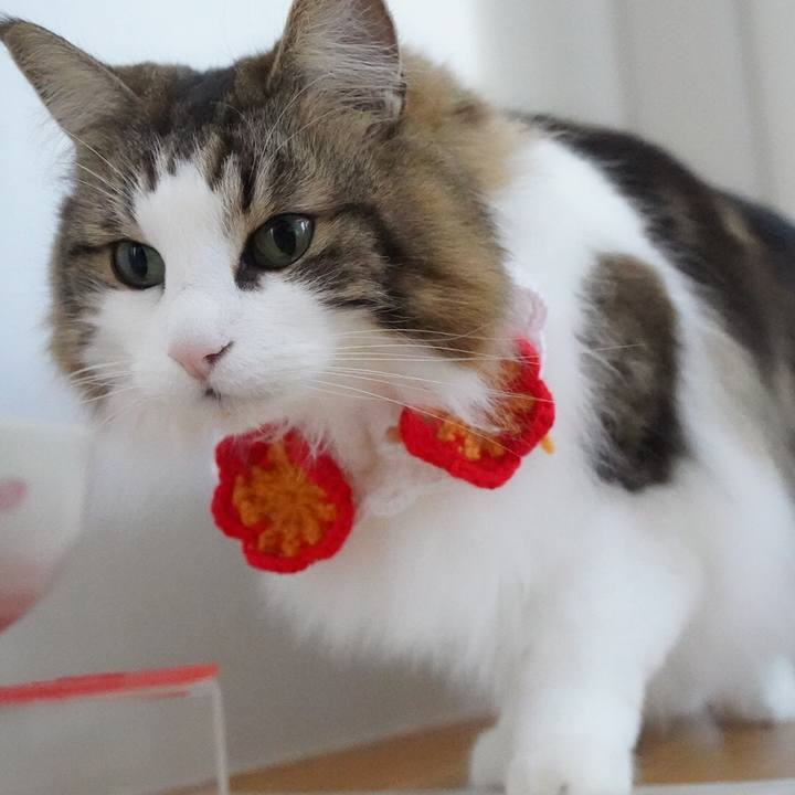 020dda90 e49a 49e5 816a d8f12a734658 1614735834069