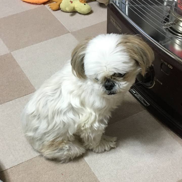 020dfe7b b978 4de4 ae44 0c6ff63f72d1 1579334444082