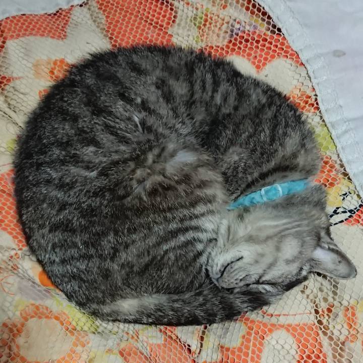 020e06be 4f87 400b af89 d6717288fa70 1571315656664