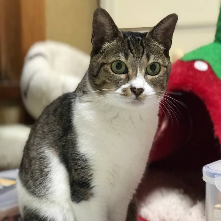 020e0aee 35ae 4993 b066 8bb36b64ab59 1536539783638