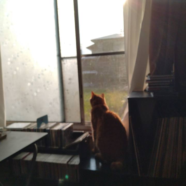 020e2655 74e6 4840 8bfd 8db857d27615 1687041913413