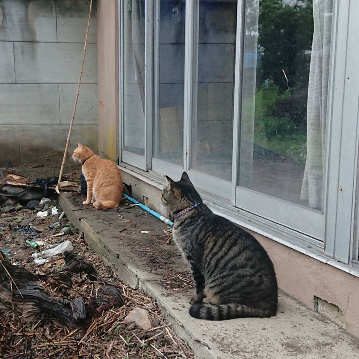 020e46ad 9991 4441 bd1d 892d2f663364 1661852864363