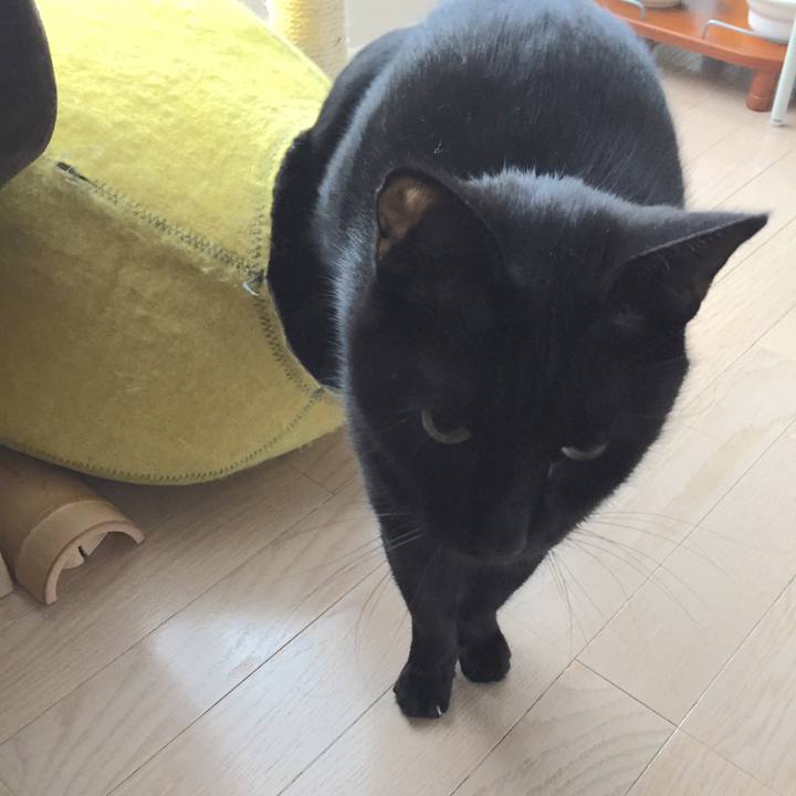 020e4ec5 22b6 4358 8017 671dbdf169d6 1508941334874