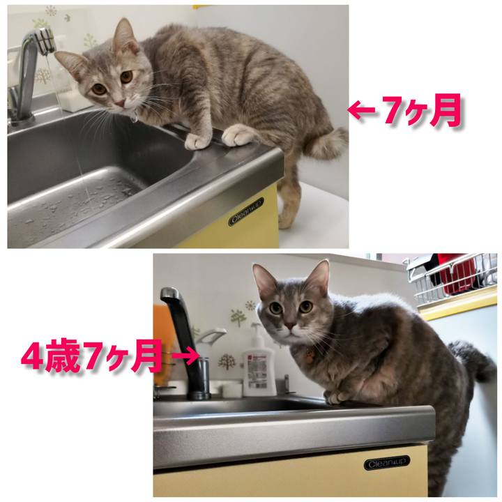 020e5fc4 a8fb 496e bfed 84a446000632 1610595279365