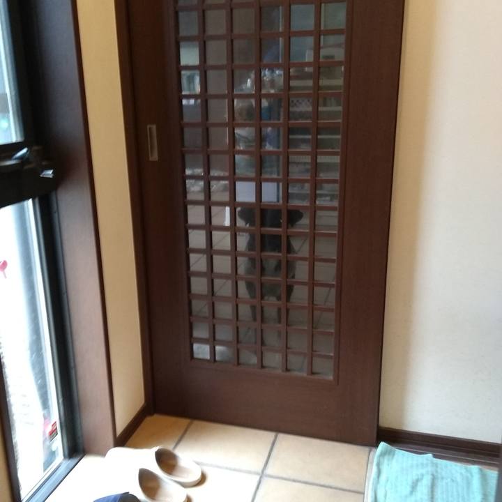 020e91e7 11a0 4107 b95c 764900ddec70 1620731293364