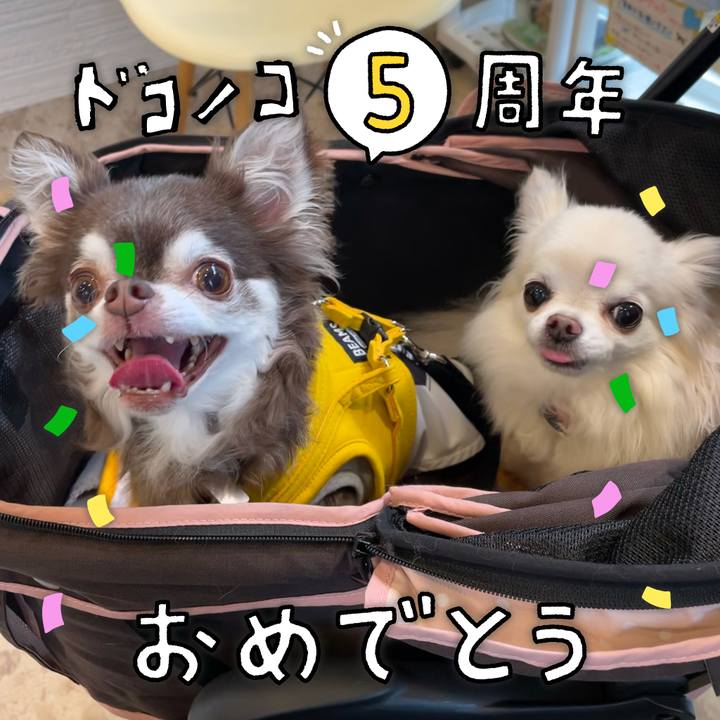 020e9aab 75f9 444b aa0f 3159780823f4 1622962828602