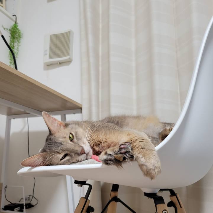 020ed02e 2da1 4f3a 9014 5778c1956d4b 1635392391534