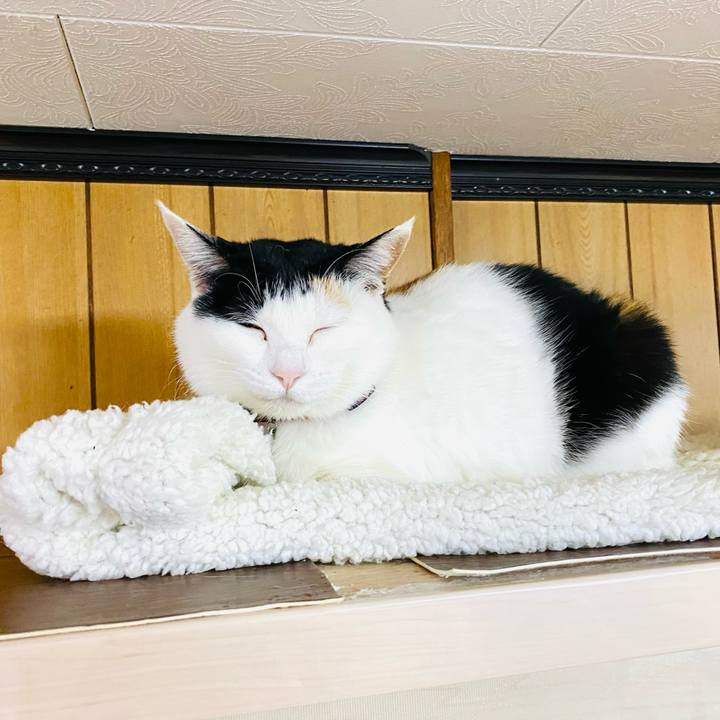 020ed7f5 50dd 4c8b bfe3 34e6a32e5078 1678744850316