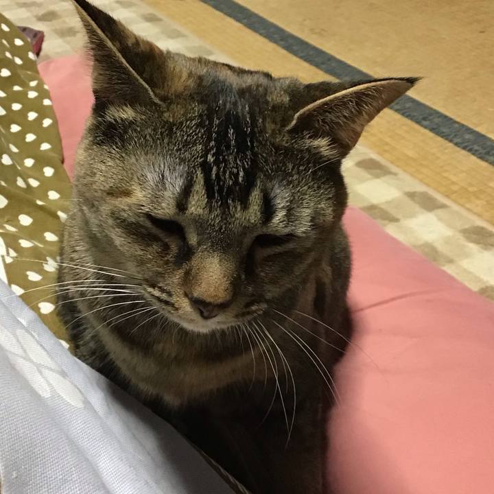 020ee334 21c4 46b9 9e6e 3dbb0db31c8e 1674387237945