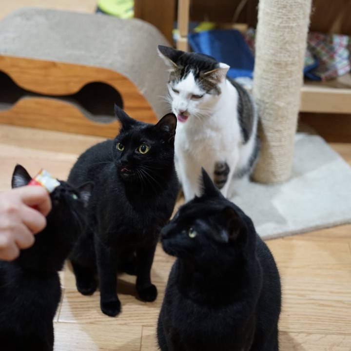 020f2fd7 01df 40de 9a51 f026bf6c7bd5 1552434307174