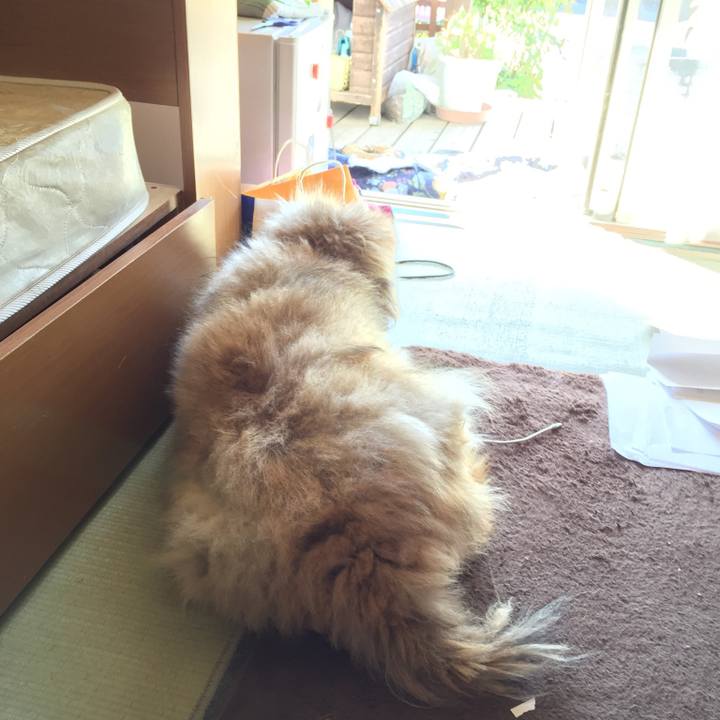 020f4cb6 387c 44cd acac 8185aae5f7c6 1599458713699