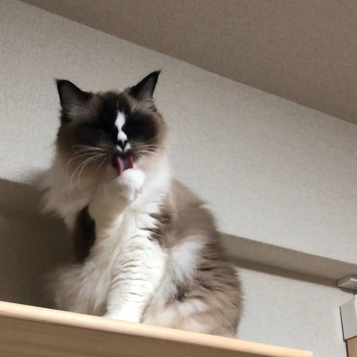 020f8f2b 9a38 4c35 aaae 86563e334627 1545576572746