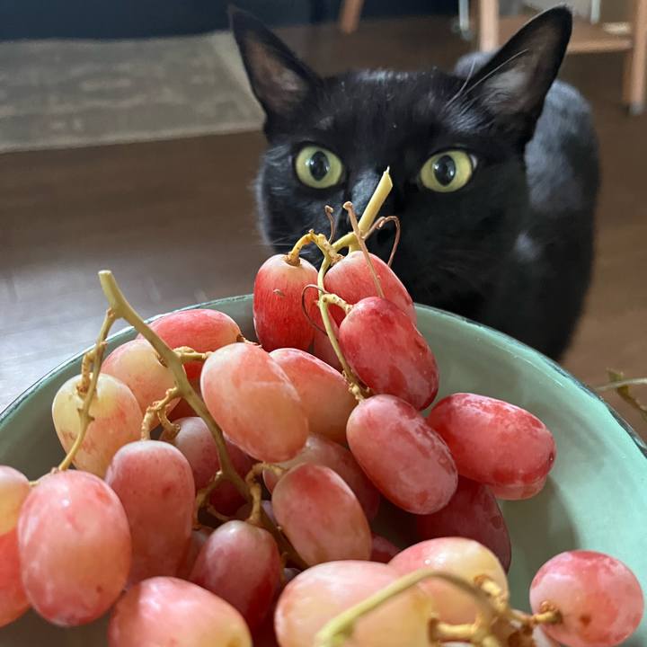 020f9ecc c990 4837 bcb9 f56a092fff29 1717977715947