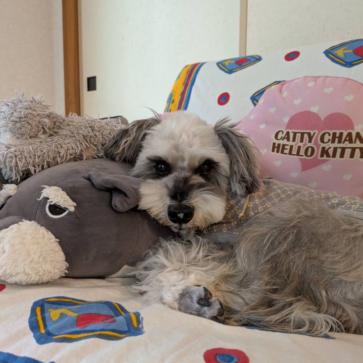 020fcb4f 71eb 4544 abc4 8870e565d138 1762840619667