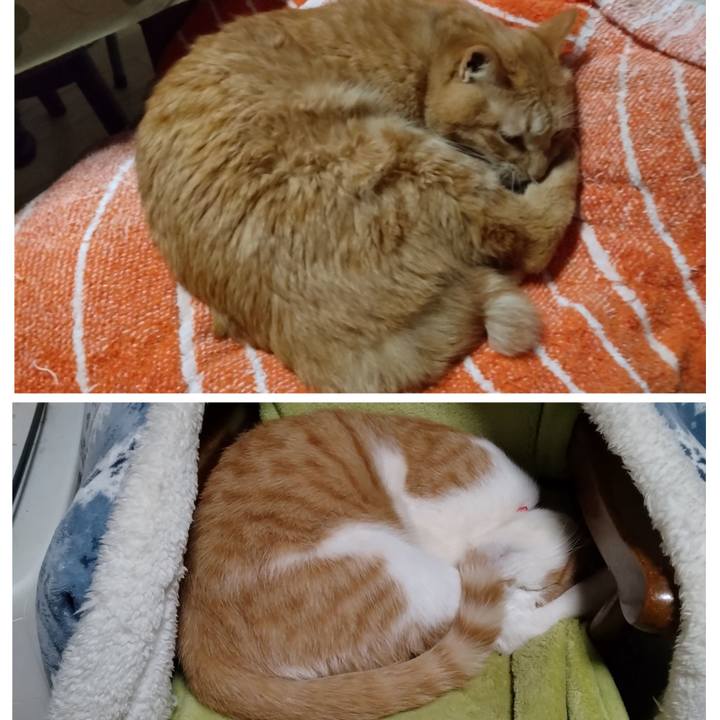 020feb21 10b5 4c16 99d5 951569ea6135 1740733079806