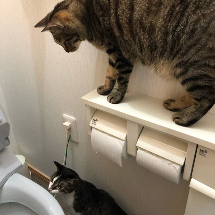 02100fae cccc 4b60 89e2 60d70848034f 1527827143619