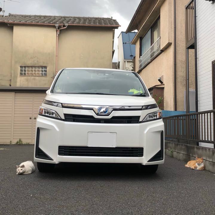 021012f2 0f0d 44a4 84ad 02985774ff0e 1600702908422