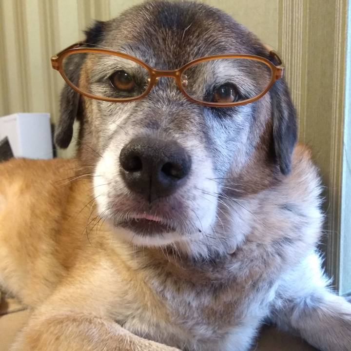 02101a9b f03a 417a 9c20 d5f39bf06f2c 1567657522669