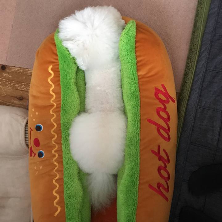 02106ef5 596e 4e38 ad66 5252cd93d85a 1529643655518