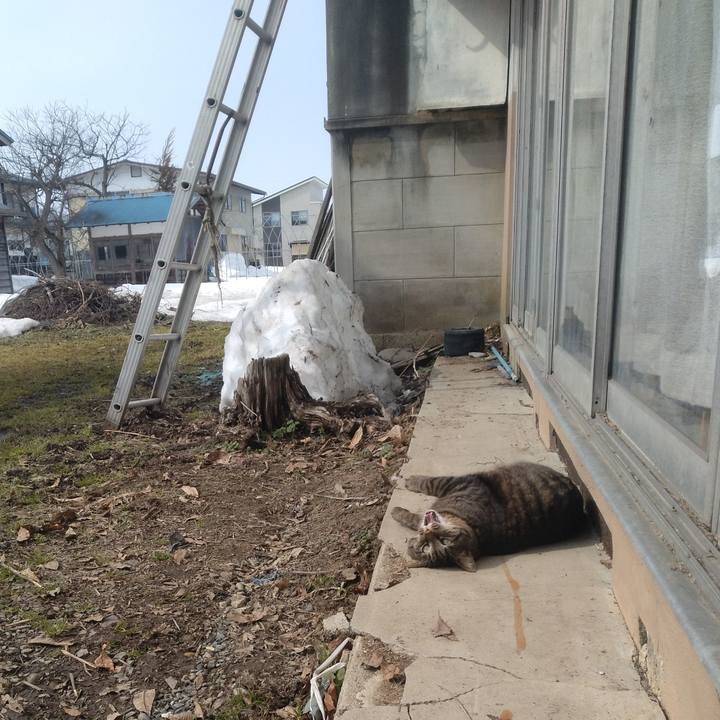 021078fb 7765 4a7a 9f7f 61f6fbf54625 1678159510011