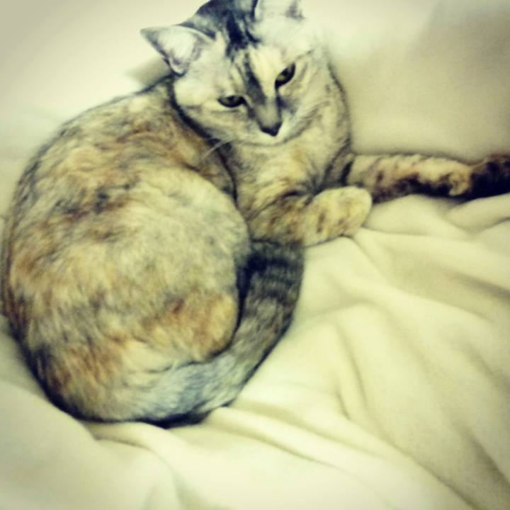 0210a6b6 d163 4b08 afff 5d2156ac3416 1516259129130