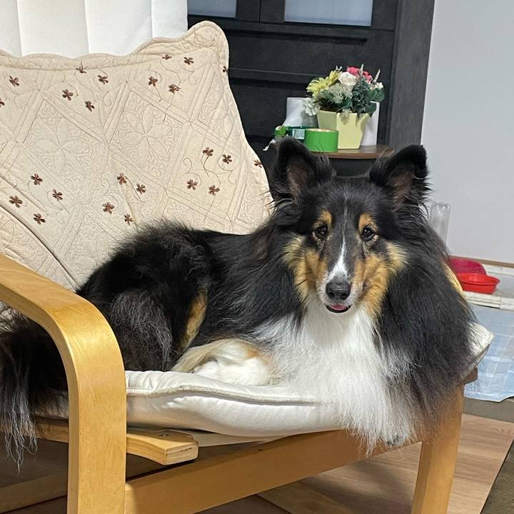 0210a6d6 6f40 4371 8ec9 0253300cdac4 1719996250836