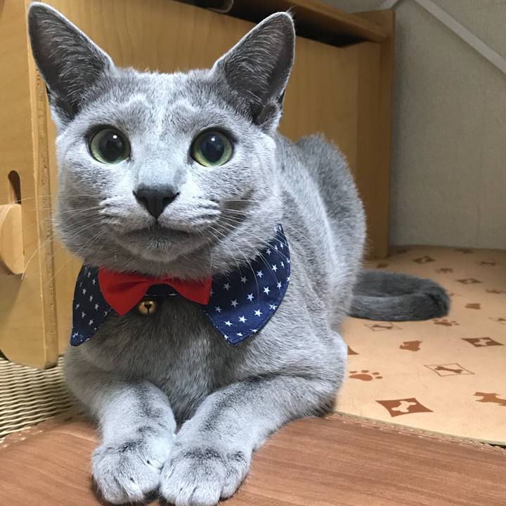 0210d268 aef8 436c bf6d 4cc0095e7b66 1521989731951