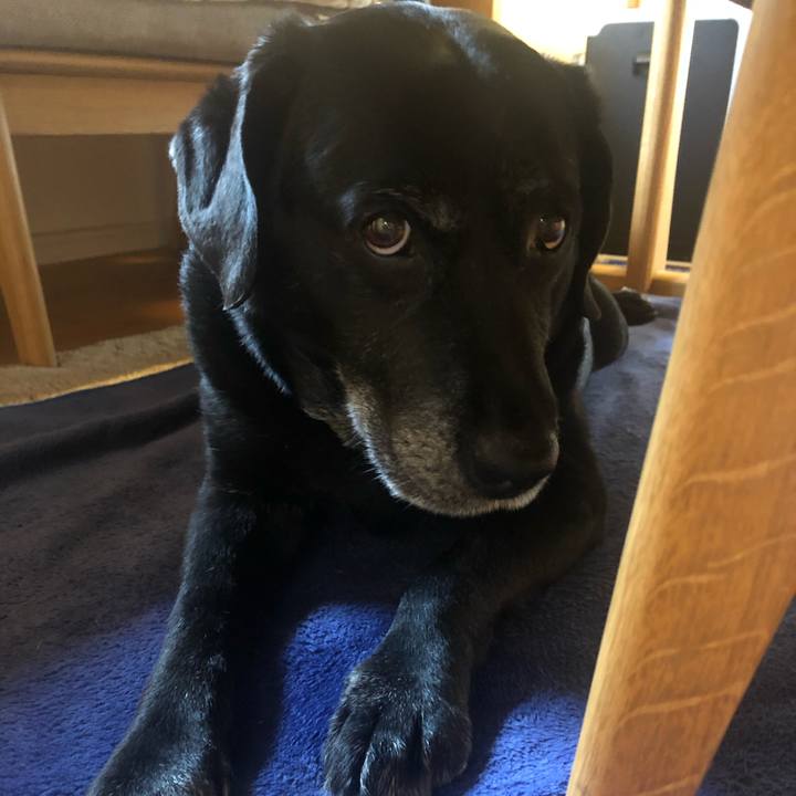 0210e698 fb24 4e78 a7a2 36788a0c60da 1588474478713