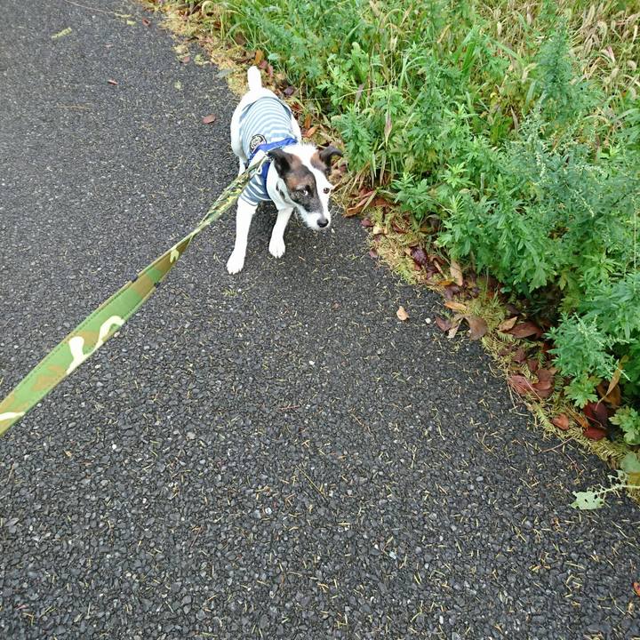 02110098 ce8f 45a8 b064 224257db069b 1510699715332