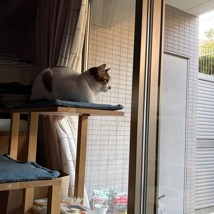 02111436 38ec 447b 89c9 c293cfc55aab 1772838209207