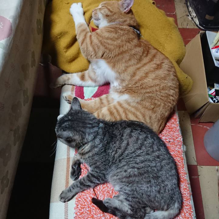 0211170e decc 49a1 94fe 29cb5a6e0dec 1573556674189