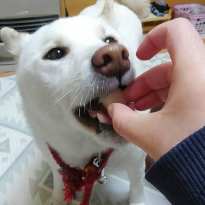 02113074 f1b6 40ef 8b9c 3e25d75516b1 1512810726491