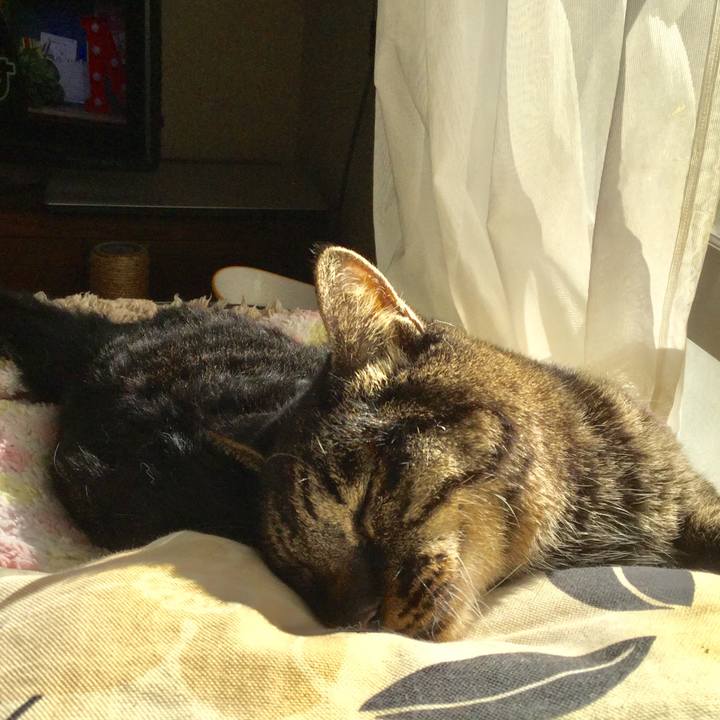 0211365f 52c9 4e81 876e abcccc675e4f 1610768719357